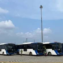 Roro Shipment Electric Buses 30 Unit from Lianyungang  Jakarta